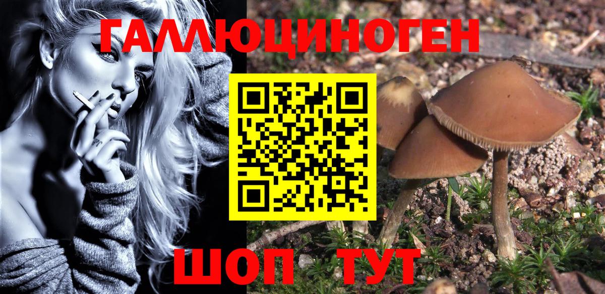 Галлюциногенные грибы Magic Shrooms  Вход с VPN  Обь 