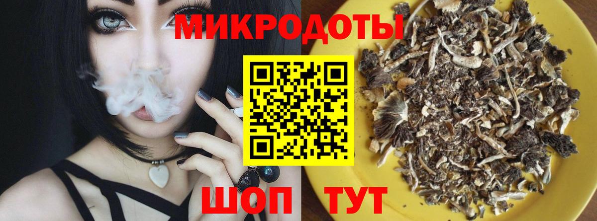 Псилоцибиновые грибы Psilocybine cubensis Обь